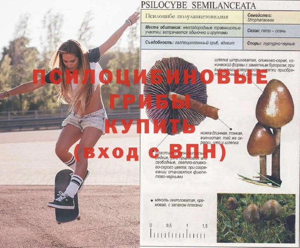 спайс Нефтекумск
