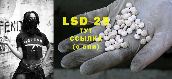 стаф Вуктыл