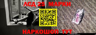 крисы Гагарин