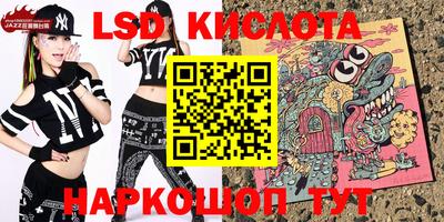 индика Гатчина