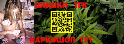 крисы Гагарин