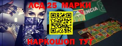 индика Гатчина