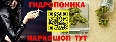 крисы Гагарин