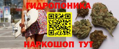 крисы Гагарин