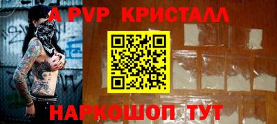 индика Гатчина