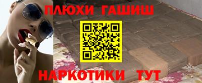 индика Гатчина