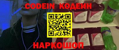индика Гатчина