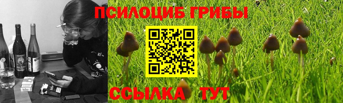 даркнет сайт  Вход с VPN  Зеленодольск  Псилоцибиновые грибы прущие грибы 