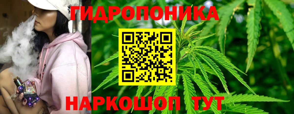 Шишки марихуана индика Зеленодольск